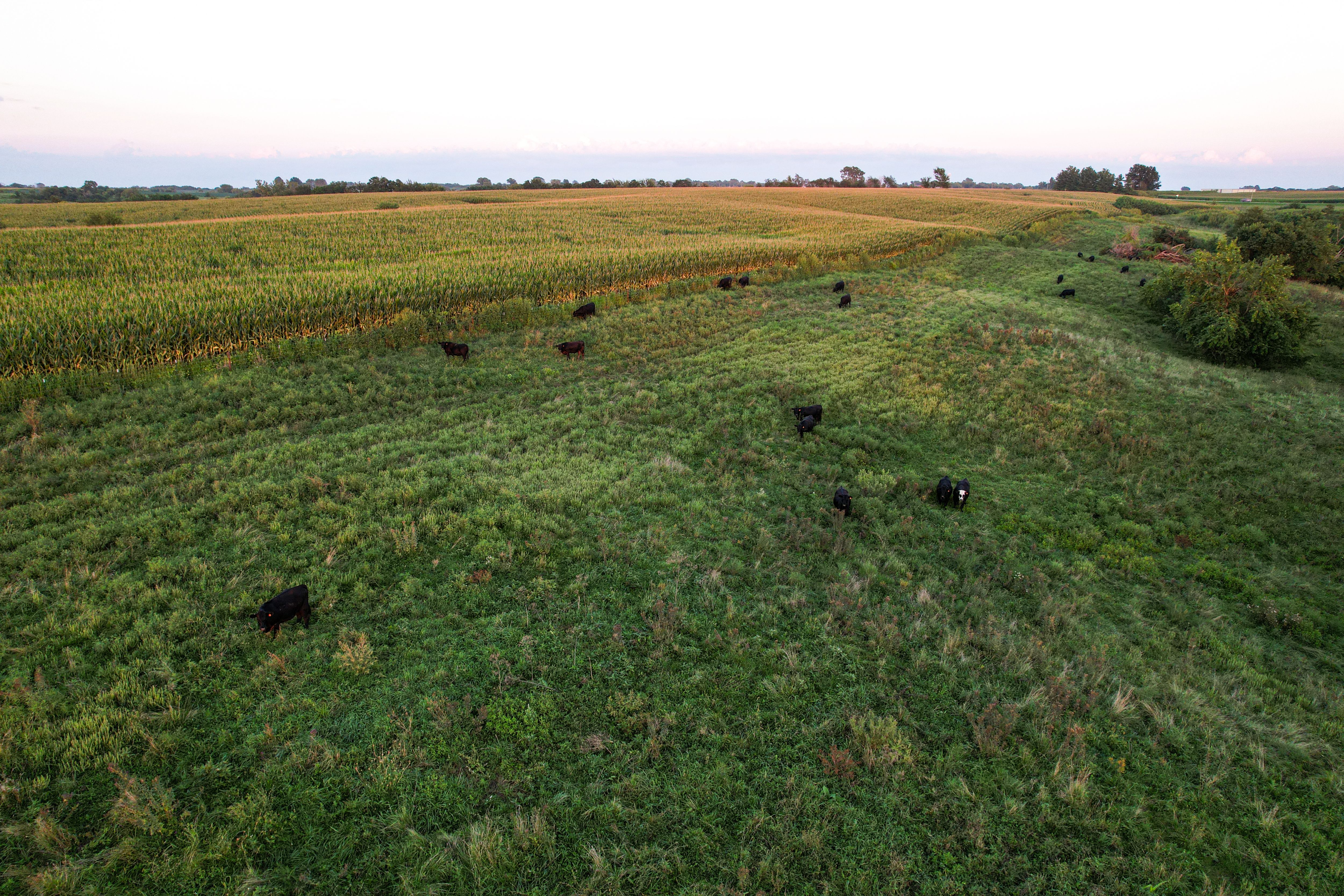 Listing Photo: Photo Aug 20 2025, 7 54 51 PM